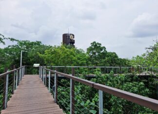 เขียนเล่าข่าว EP.47 คืนป่าให้คนกรุง ได้เรียนรู้ความหลากหลายทางชีวภาพ