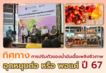 ทิศทางการปรับตัวของน้ำมันเชื้อเพลิงชีวภาพ อุดหนุนต่อ หรือ พอแค่ปี 67