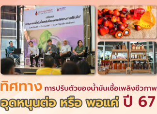 ทิศทางการปรับตัวของน้ำมันเชื้อเพลิงชีวภาพ อุดหนุนต่อ หรือ พอแค่ปี 67