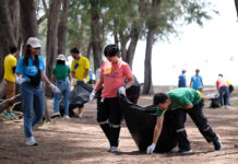 เชฟรอนจัดกิจกรรม “เก็บหยะ แลเล ว่าเฮ ได้ทำบุญ” ชวนพนักงานจิตอาสาร่วมอนุรักษ์ชายหาดทะเลสงขลา