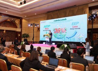 เปิดร่าง AEDP2024 หนุนไฟฟ้าจากพลังงานแสงอาทิตย์ แต่ลดบทบาทน้ำมันหลักเหลือเบนซิน E10 และดีเซล B7