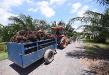 กบน. เตรียมประชุมผ่อนผัน “มาตรการยกเลิกชดเชยราคาน้ำมันเชื้อเพลิงชีวภาพ” ไปอีก 2 ปี สิ้นสุดปี 2569 แทน