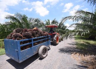 กบน. เตรียมประชุมผ่อนผัน “มาตรการยกเลิกชดเชยราคาน้ำมันเชื้อเพลิงชีวภาพ” ไปอีก 2 ปี สิ้นสุดปี 2569 แทน