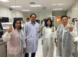 เขียนเล่าข่าว – นักวิจัยไทยเร่งพัฒนาน้ำมันเชื้อเพลิงชีวภาพจากยีสต์!! มุ่งต่อยอดขยายขนาดการผลิตเพื่ออุตสาหกรรมอากาศยาน