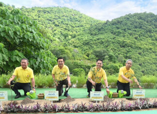 ปตท. ผนึกกำลัง พม. และ จ.ระยอง ปลูกป่าเพิ่มพื้นที่สีเขียวโครงการเขาจอมแหเปิดประตูสู่ระยอง ปี 2567