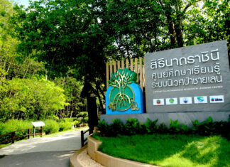 ศูนย์ฯ สิรินาถราชินี สถาบันปลูกป่าและระบบนิเวศ ปตท. รับประกาศเกียรติคุณโครงการสนับสนุนกิจกรรมลดก๊าซเรือนกระจก