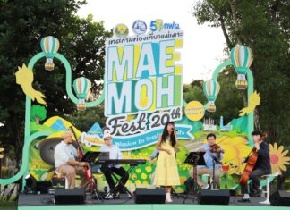 20 ปี “เทศกาลท่องเที่ยวแม่เมาะ” เปิดบ้านต้อนรับนักท่องเที่ยว ชมทุ่งบัวตองบานสะพรั่ง กระทบไหล่ศิลปินดัง 8-10 พ.ย. นี้