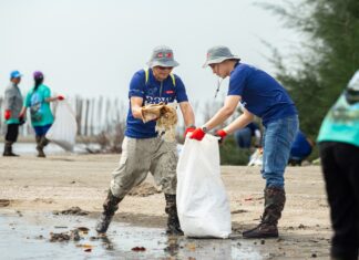 Dow ผนึกจิตอาสา เก็บขยะป่าชายเลน 2.2 ตัน เผยสาเหตุหลักที่ขยะตกค้างลดลง