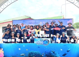Dow หนุนกรมทะเล รณรงค์เก็บขยะและฟื้นฟูชายฝั่ง เชื่อมโยงสู่เป้าหมายความยั่งยืนระดับโลก
