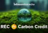 REC vs Carbon Credit ต่างกันอย่างไร สรุปครบ – เข้าใจง่าย – พร้อมตัวอย่างจริง
