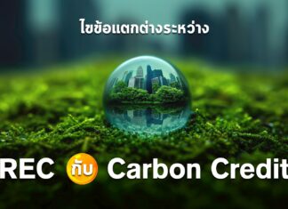 REC vs Carbon Credit ต่างกันอย่างไร สรุปครบ – เข้าใจง่าย – พร้อมตัวอย่างจริง
