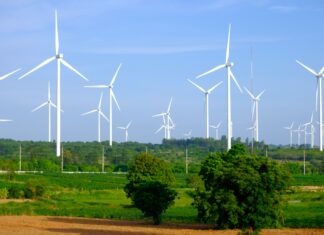 “พลังงานลม” หนึ่งในทางเลือกพลังงานสะอาด ตอบโจทย์เป้าหมายปรับลดคาร์บอนของประเทศ