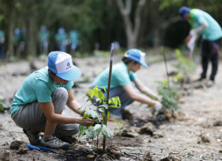 PTTEP Executives and employees plant over 5,700 trees to expand green areas, Celebrating 40 years