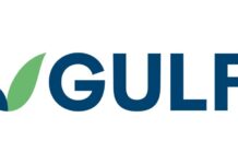 GULF รับรู้ Core Profit ไตรมาส 3/2568 จำนวน 7,280 ล้านบาท สูงสุดเป็นประวัติการณ์ จากธุรกิจพลังงาน และส่วนแบ่งกำไรจาก AIS