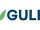 GULF รับรู้ Core Profit ไตรมาส 3/2568 จำนวน 7,280 ล้านบาท สูงสุดเป็นประวัติการณ์ จากธุรกิจพลังงาน และส่วนแบ่งกำไรจาก AIS