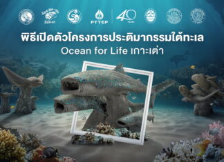 ปตท.สผ. เปิดตัวประติมากรรมใต้ทะเลฟื้นฟูระบบนิเวศแนวปะการัง ส่งเสริมท่องเที่ยวเชิงอนุรักษ์