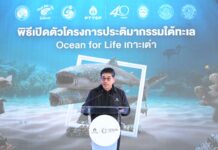 ปตท.สผ. เปิดตัวประติมากรรมใต้ทะเล Ocean for Life แหล่งปะการังเทียมแห่งใหม่ ช่วยฟื้นฟูและเพิ่มความอุดมสมบูรณ์ระบบนิเวศทะเลไทย