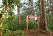 EGCO Group โดย มูลนิธิไทยรักษ์ป่า ส่งมอบ “เส้นทางศึกษาธรรมชาติยอดดอยปุย” เส้นทางป่าหลังบ้านเมืองเชียงใหม่ ชูแหล่งเรียนรู้นิเวศประวัติศาสตร์ที่เข้าถึงง่าย